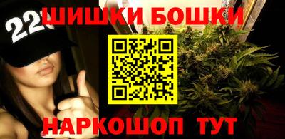 стафф Славгород