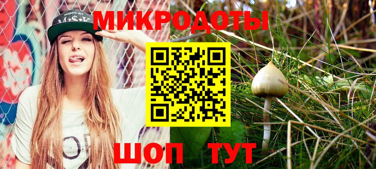 Псилоцибиновые грибы мухоморы  дарнет шоп  Самара  Вход с VPN  Галлюциногенные грибы мицелий 